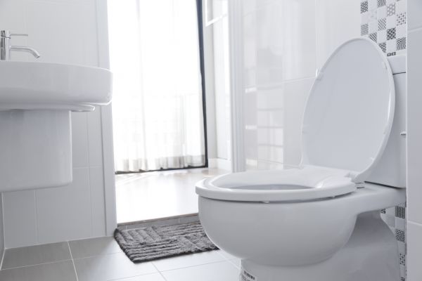 Cost of Toilet Relocation in Lutz