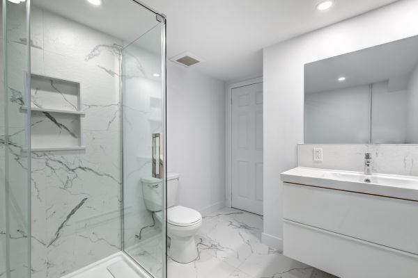 Basement Bathroom Installation in Lutz