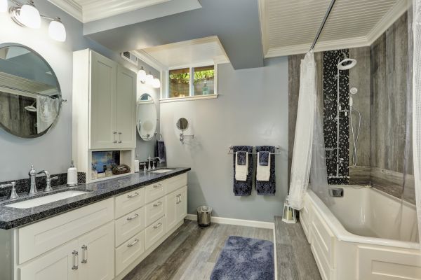 Basement Bathroom Remodeling in Lutz