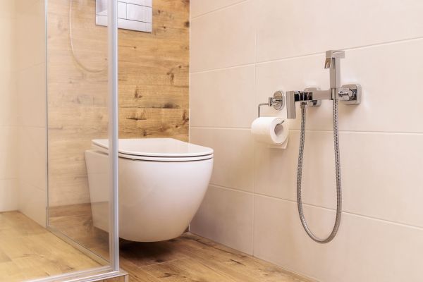 Cost of Universal Bathroom Remodeling in Lutz