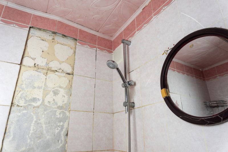 Top Shower Remodeling Companies in Riverview, FL